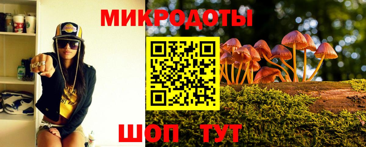 Котельники  Псилоцибиновые грибы Psilocybe  Псилоцибиновые грибы прущие грибы  Вход с VPN 